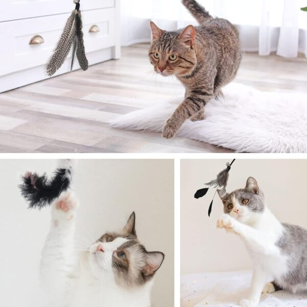 SONGWAY Cat Feather Stick Toy - 7 PCS Cat Feather Toys, 1 Cat Teaser Wand with 6 Feather Refills with Bell, Interactive Cat Toy Wand for Indoor Cat and Kitten, Black - Image 5
