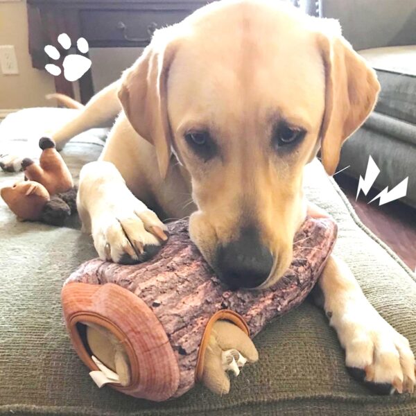 IFOYO Squeak Dog Toys, Large Durable Squirrel Hide and Seek Puzzle Plush Dog Toys for Medium/Small Dogs, Chew Toys for Puppy - Image 5
