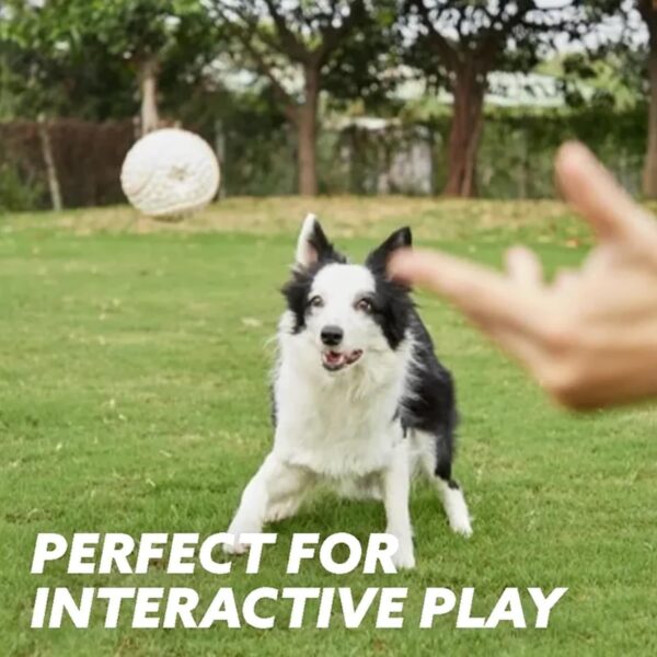 LinZong 2/4pcs Mighty Chew - Indestructible Toy for Dog,Mighty Chew Dog Toy,Bite Resistant Latex Pet Toy Ball,Squeaky Dog Toys,Best Gift for pet Teeth Cleaning and Gum Massage (Small, Combinations) - Image 3