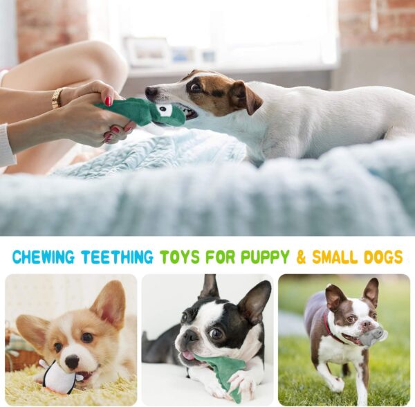 LEGEND SANDY Squeaky Dog Toys for Puppy Small Medium Dogs, Stuffed Samll Dog Toys Bulk with 12 Plush Pet Dog Toy Set, Cute Safe Dog Chew Toys Pack for Puppies Teething Visit the Store - Image 5