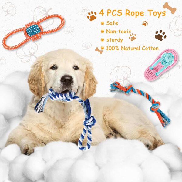 Squeaky Plush Dog Rope Toys Set, 8 Pack Puppy Chew Toys for Teething Training, Cute Interactive Tug Rope Toys for Boredom, Xmas Gift for Small and Medium Dogs, Washable, Natural Cotton & Non Toxic - Image 2