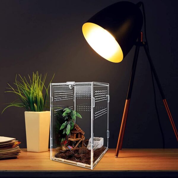 yingd Terrarium Kit, Reptile Breeding Box, Stick Insect Enclosure, Tarantula Enclosure, Transparent Reptile Feeding Box for Spide, Lizard, Scorpion, Mantis, Geckos, Beetle, Crickets (12x12x20cm) - Image 5