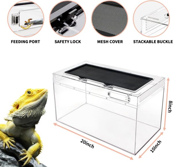 Reptile PC Terrarium set, Reptile Tank 20" x 10"x 8",with Top Sliding Door Screen Ventilation for Insect，Fish，Tarantula，Hermit Crab，Jumping Spider，Iguana，Tortoise，Leopard Gecko，Frog，Bearded Dragon… - Image 3