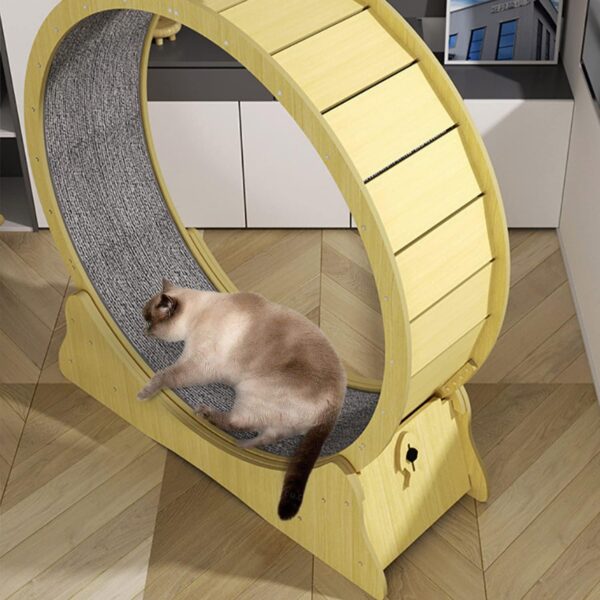 Hibtn Large Cat Exercise Wheel Diameter 43.3inch,Cat Treadmill,Cat Running Wheel For Indoor Cats With Brake,Cat Interactive Toy,Cat Weight Control Machine,With Lock And Carpeted - Image 8