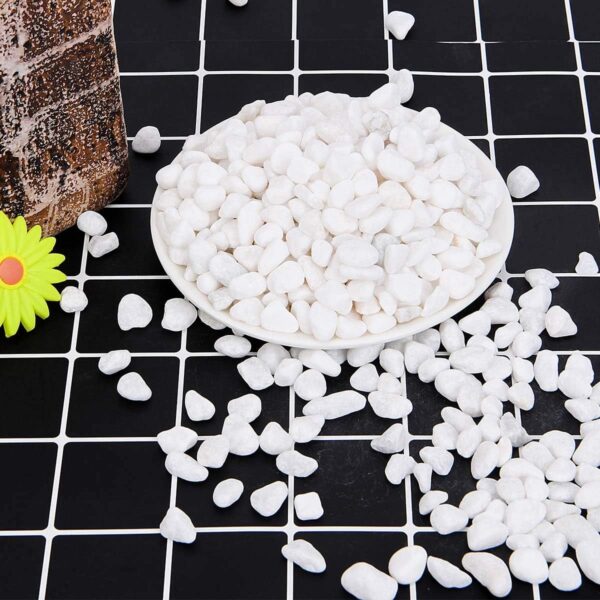 Hisredsun 3.96 lb White Decorative Stones,0.23-0.35in Natural Gravel Rocks for Plant Pots,Small River Rocks for Landscaping, Vase Fillers,Succulents,Aquarium and Garden Decoration - Image 3