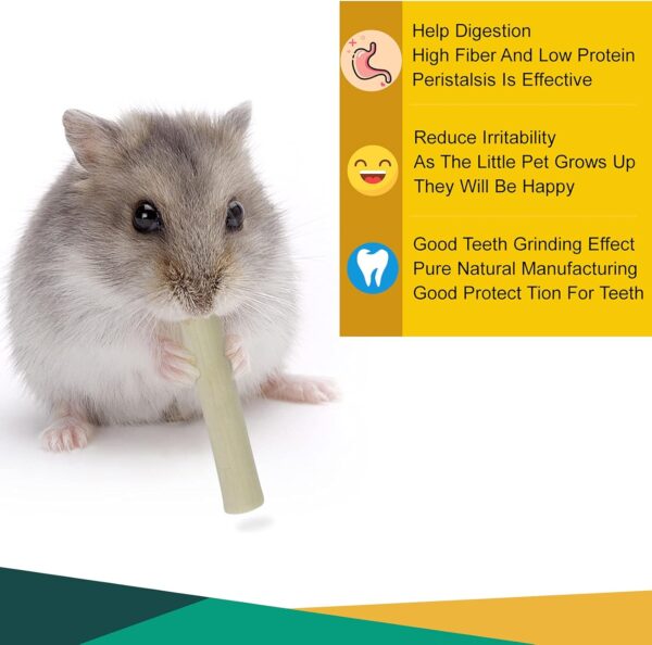 Barley Ears 300g Sweet Bamboo Sticks Rabbit Gerbil Hamster Chew Toys Pet Guinea Rat Gerbil Small Animals Chew Toys for Teeth Rabbit Boredom Breakers - Image 2