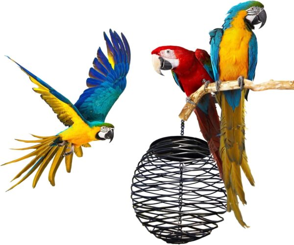 Birds Food Dispenser with Roof for Wild Garden Suet Basket Outdoor Hanging Dispenser for Wild Birds - Image 8