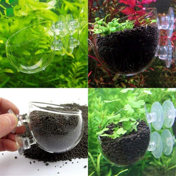 Smavles Aquatic Plant Crystal Clear Glass Cup 4 Pcs Aquatic Plant Cup Holder Plant Glass Pot Aquarium with Suction Cups for Aquatic Holder Fish Tank Accessory Aquarium Decoration - Image 8