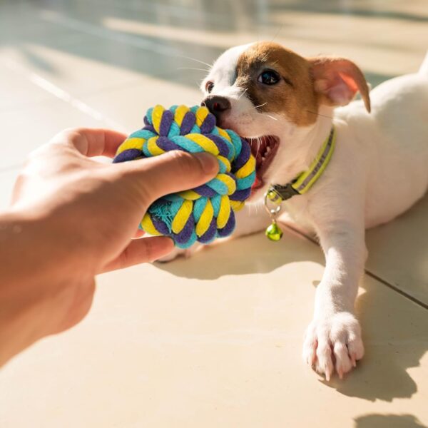 Fur & Bone 10 Pack Dog Rope Toy, Dog Chew Toys for Aggressive Chewers - Cotton Puppy Toys | Dog Toys Indestructible for Dog Chews | Dog Toy, Indestructible Dog Toys Dog Accessories Chew Toys for Dogs - Image 9
