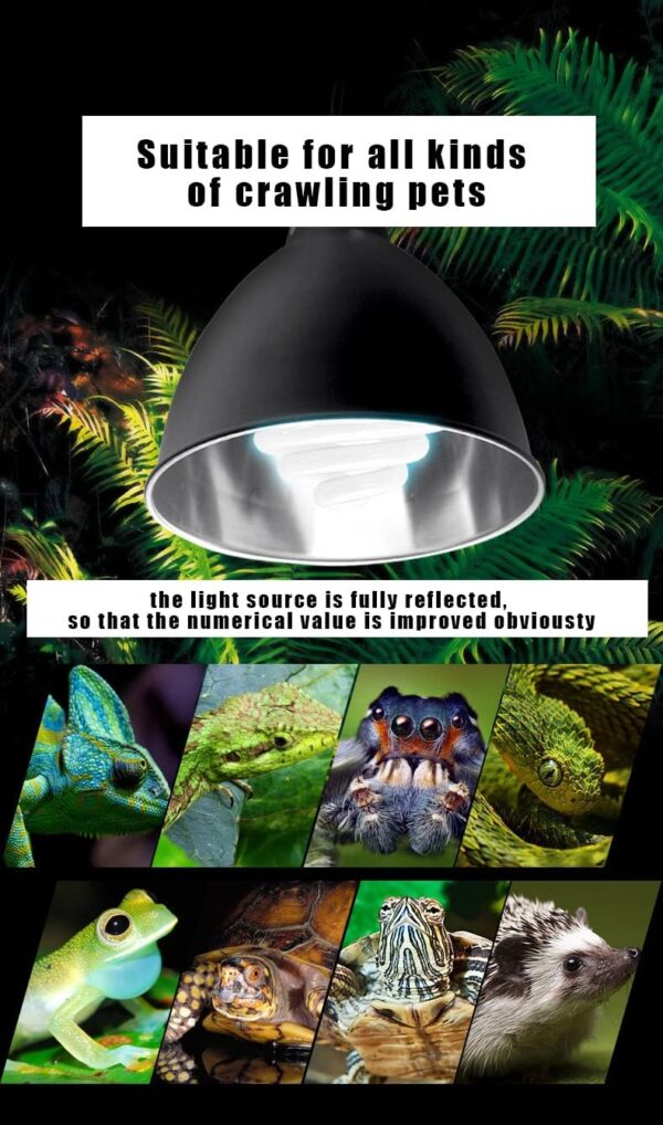 ATB-GIFT 8.5 inch Reptile Lamp Holder, tortoise heat lamp, Bulb Holde for Lizard Tortoise Bearded Dragon Lights(UK plug) - Image 3