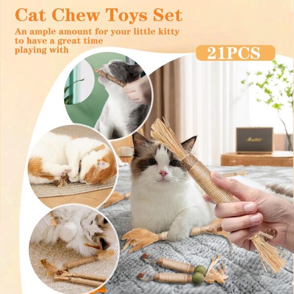 GIAPINST Catnip Sticks For Cats, Natural Matatabi Silvervine Chew Sticks, Catnip Toys for Indoor Cats, Kitten Teething Toys Dental Care, Increase Appetite, Calm Cat Anxiety(21Pcs) - Image 4