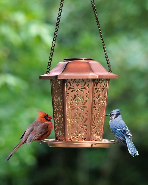 HouseSapp Solar Bird Feeders for Outdoors Hanging Premium Grade Metal Bird Feeder, Chew Proof, Weather and Water Resistant Wild Bird feeders, Outside and Garden Decoration - Image 8