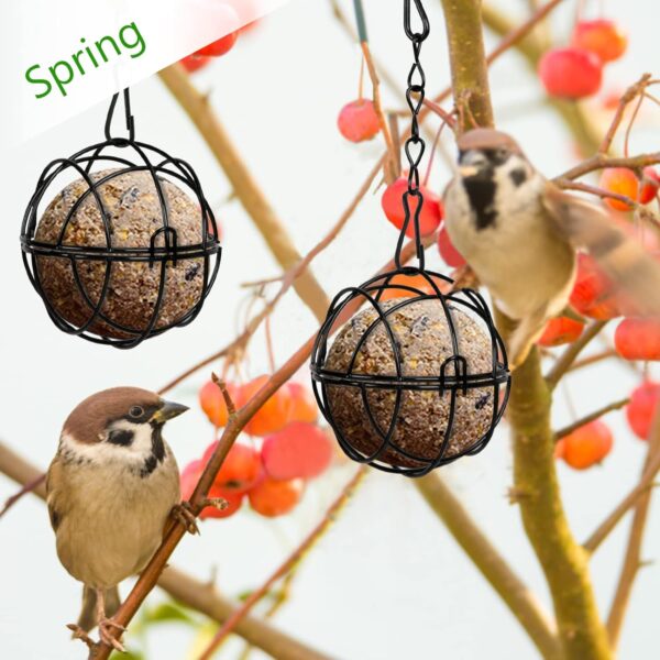 SUNYOK 4 Pcs Fat Ball Feeders Hanging Bird Feeder Metal Fat Ball Bird Holder with 4 S-shaped hooks for Outdoor Garden Wildlife Birds Finch Sparrow Robin - Image 3