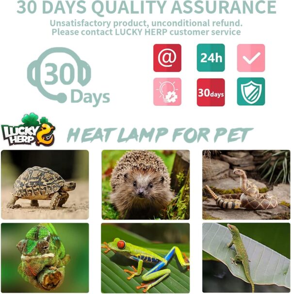 LUCKY HERP Reptile Heat Lamp Bulb 25W 4Pack, UVA UVB Basking Lamp Bulb for Tortoise, E27 Halogen Heat Light for Turtle, Lizard, Bearded Dragon - Image 7