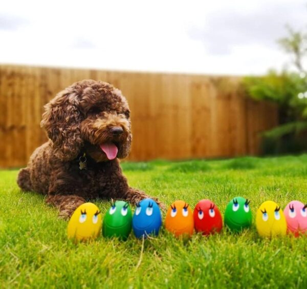Mushroom & Co OVO the Egg Original (set of 4 eggs), catch and fetch toy, ideal for mini and small dogs - Image 6