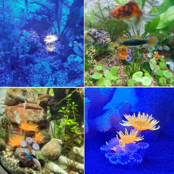 Artificial Coral Plant Aquarium Simulation Artificial Plant Silicone Coral Sea Anemone for Fish Tank Landscape Decoration Ornaments - Image 7