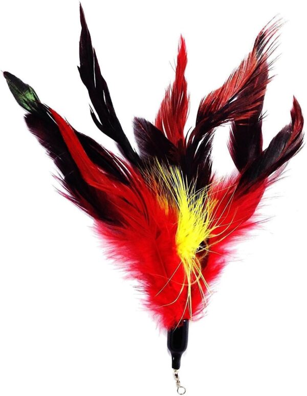 onebarleycorn Cat Toys Feather Refills for Cat Wand Toys Interactive include Replacement Feathers - Image 3