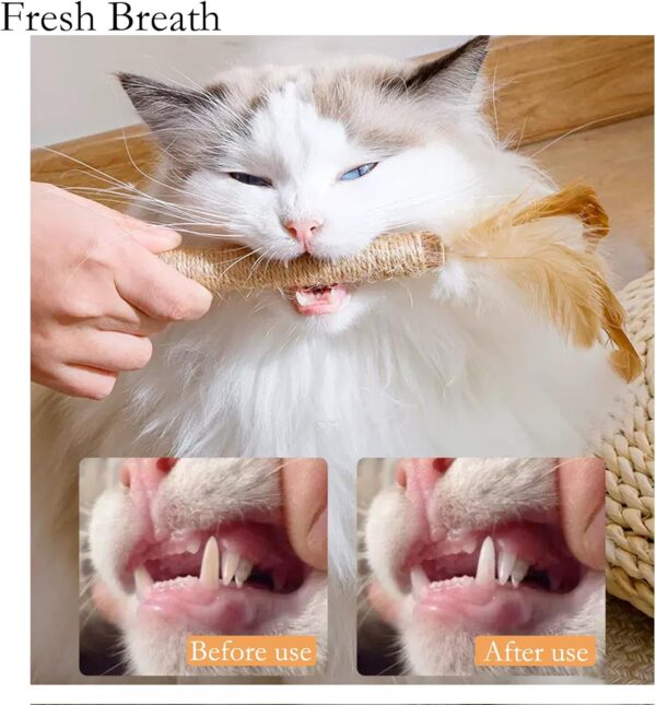 GIAPINST Natural Matatabi Silvervine Chew Sticks, Cat Catnip Sticks For Cats, Cat Catnip Toys For Indoor Cats Adult, Kitten Teething Dental Care, Increase Appetite and Stress Release(21 pcs) - Image 4