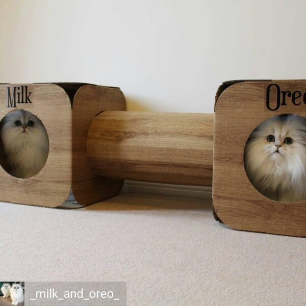 Cardboard Cat House & Tunnel Wood Effect - Bed - Image 5