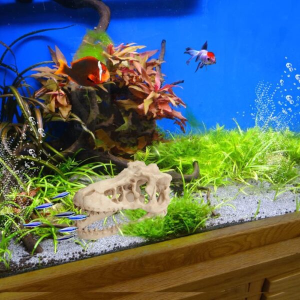 Saim Aquarium Ornaments, Large Dinosaur Skull Decorations Non-Toxic Vivarium Decoration Emulational Reptile Hide Aquarium Cave For Reptile and Fish - Image 5