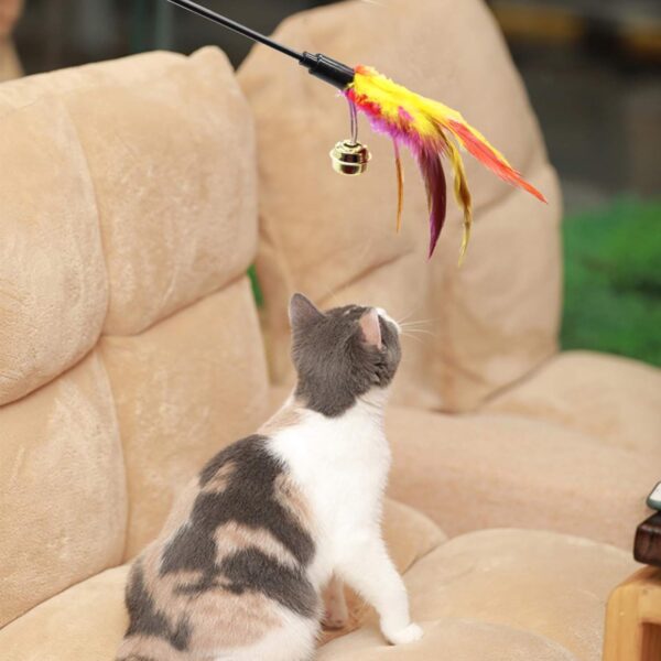 Besimple Set of 6 Feather Wands for Cats - Variable Colour - Coloured Feathers - for Cats and Kittens - Image 6