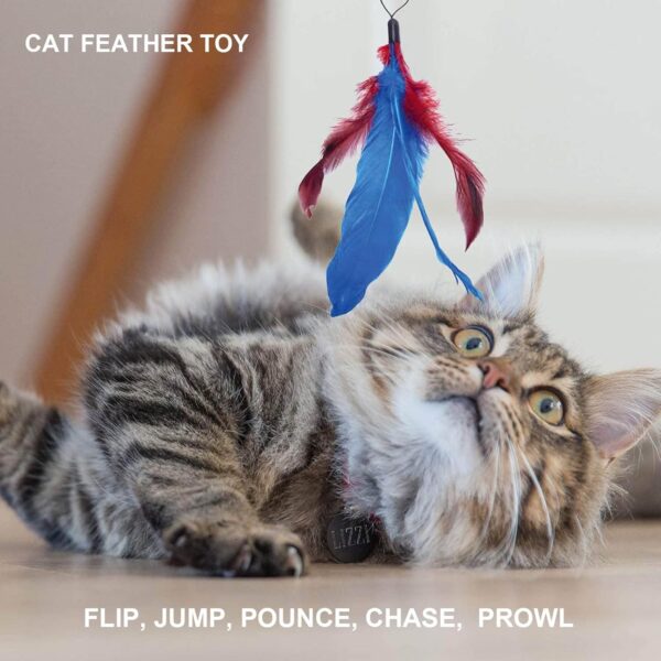 Cat Fishing Rod Toy,Cat Feather Toys With Retractable Teaser Interactive Cat Wand Toys Flirt Pole Cat Toys for Indoor Cats Adult Kitten for Play,Exercise,Activity & Fun 8 Pcs Replacement Refills - Image 7