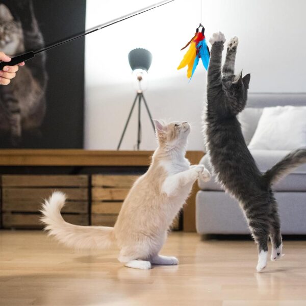 Cat Fishing Rod Toy,Cat Feather Toys With Retractable Teaser Interactive Cat Wand Toys Flirt Pole Cat Toys for Indoor cats adult Kitten for Play,Exercise,Activity & Fun 3 Pcs Replacement Refills - Image 2