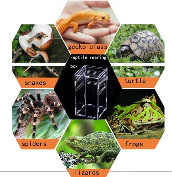 Topspitgo Tarantula Enclosure,Acrylic Transparent Terrarium,Stick Insect Enclosure,Reptile Breeding Box for Jumping Spider,Tarantula,Mantis,Snails,Spide,Scorpion,Centipede,Beetle (12x12x20cm) - Image 3