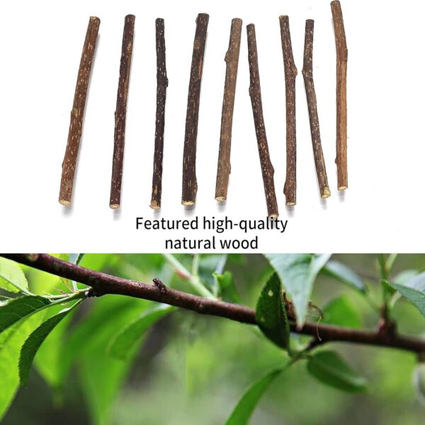 Newoutset 33 Pcs Cat Catnip Sticks, Cat Catnip Chew Toys Natural, Silvervine Matatabi Catnip Sticks Toys, Cat Kitten Teething Toys Sticks for Cat Kitten Teeth Cleaning, Including 3 x Cat Mouse Toy - Image 4