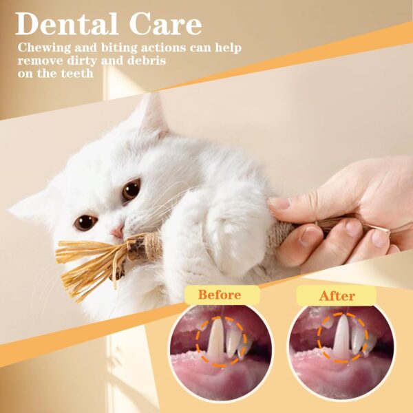 GIAPINST Catnip Sticks For Cats, Natural Matatabi Silvervine Chew Sticks, Catnip Toys for Indoor Cats, Kitten Teething Toys Dental Care, Increase Appetite, Calm Cat Anxiety(21Pcs) - Image 7