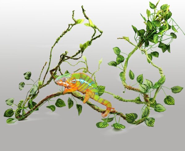 QUOZUO Reptile Plants, Terrarium Hanging Plant Vines Artificial Leaves Reptile Hide, Leopard Gecko Tank Accessories, Terrarium Decorations for Bearded Dragon Lizard Snake Chameleon - Image 6