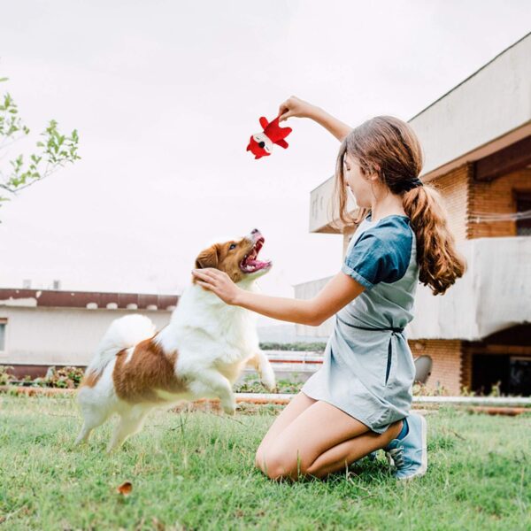 LEGEND SANDY Squeaky Dog Toys for Puppy Small Medium Dogs, Stuffed Samll Dog Toys Bulk with 12 Plush Pet Dog Toy Set, Cute Safe Dog Chew Toys Pack for Puppies Teething Visit the Store - Image 7