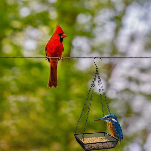 GLIBBUL Hanging Bird Feeder Square Metal Mesh Seed Platform Tray for Outdoor Patio Decoration for Wild Backyard Attracting Birds (2) - Image 6