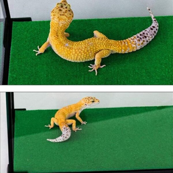 PINVNBY Reptile Carpet Lizards Bedding Pet Cage Mat Supplies Geckos Terrarium Substrate Liner With Fiber for Chamelon Bearded Dragon Turtles Iguana Snakes 2PCS - Image 4