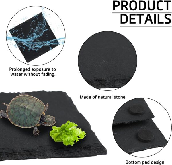 2pcs Tortoise Slate Reptile Basking Platform, 10x10cm Natural Square Slate Reptile Habitat Rock, Turtle Feeding Food Bowl Dish for Turtle Lizard Bearded Dragon Gecko Snake Landscape Habitat Decor - Image 3
