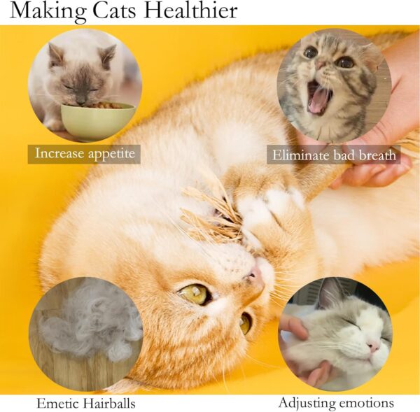 GIAPINST Catnip Toys for Cats, Cat Catnip Sticks, Natural Matatabi Silvervine Chew Sticks, Pet Catnip Teeth Cleaning Toys for Indoor Kitten, Dental Care and Stress Release(12 pcs) - Image 5