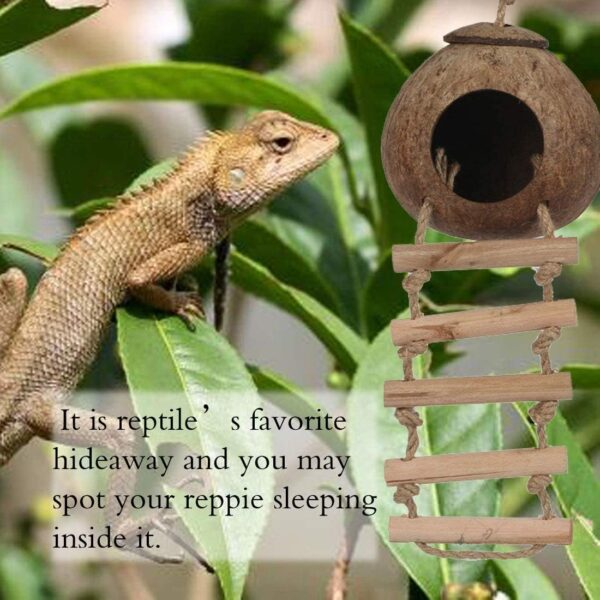 Yoicn Lth Natural Coconut Shell Gecko Nest House Reptile Hideouts Bed Cage Toy with Ladder Hanging Loop for Lizards Chameleon Gecko Snakes Small Animal 2 PCS - Image 5