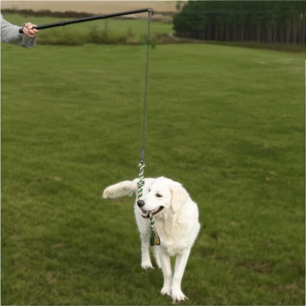 Petbud Flirt Pole Dogs Extra Strong UK | Suitable for Large,Medium,Small Dogs | Extendable Rope Tug Dog Toy | Outdoor and Indoor Use | Heavy Duty Flirt Stick - Image 3
