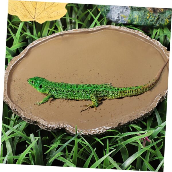 Yardwe 2pcs Climbing Pet Food Box Reptile Food Basins Pet Feeding Bowls Pet Feeding Dishes Water Holders Lizard Supplies Reptile Water Dish Resin Pet Food Basin Tortoise Food Bowls - Image 4