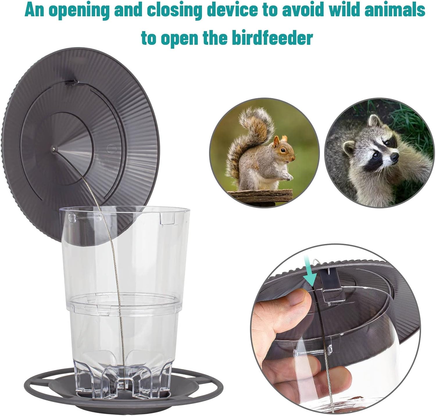 Bird Feeders for Outside, Bird feeder, Wild Bird seed for Outside Feeders, Squirrel Proof Birds Feeder, Garden Decoration - Image 4