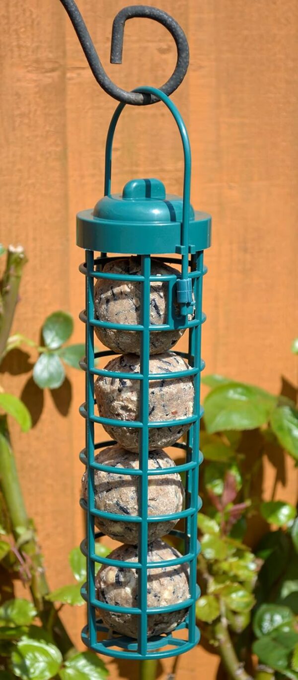 Green Jem Plastic Fat Ball Wild Bird Feeder, Easy to Fill and Clean, Attracts Many Species of Garden Birds. - Image 4