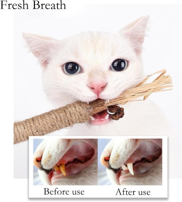GIAPINST Catnip Toys for Cats, Cat Catnip Sticks, Natural Matatabi Silvervine Chew Sticks, Pet Catnip Teeth Cleaning Toys for Indoor Kitten, Dental Care and Stress Release(12 pcs) - Image 4