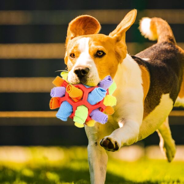Houkary Snuffle Ball for Dogs, Interactive Dog Toys, Dog Enrichment Foraging Snuffle Ball, Soft Dog Treat Ball, Dog Puzzle Toy, Dog Brain Stimulating Toys for Small Medium Pet Puppy (Red) - Image 7