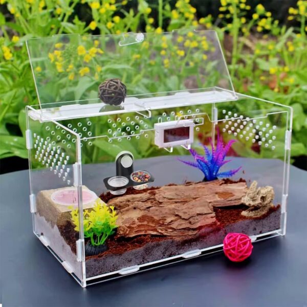 Jetisva 2pcs Reptile Water and Food Bowl Crested Gecko Feeding Ledge Plastic Suction Cup Reptile Water Dish Reptile Feeder for Lizard Chameleon Turtle Tortoise Snake Scorpion Centipede Fits Tank - Image 5