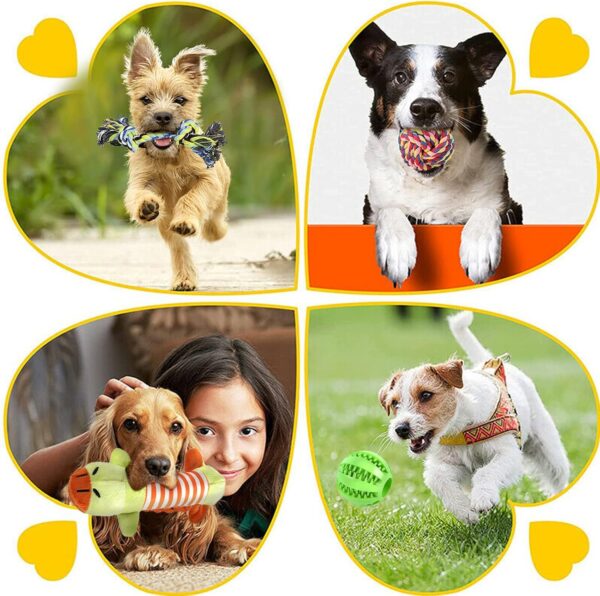 LONENESSL 12 Pcs Dog Rope Toys Set, Durable Dog Rope Toys for Small Pets Dogs, Puppy Toys Set Dog Chew Toys for Interactive, Teething Training, Relieve Boredom and Stress for Small Medium Dogs - Image 3