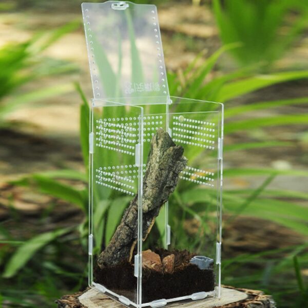 Topspitgo Tarantula Enclosure,Acrylic Transparent Terrarium,Stick Insect Enclosure,Reptile Breeding Box for Jumping Spider,Tarantula,Mantis,Snails,Spide,Scorpion,Centipede,Beetle (12x12x20cm) - Image 7