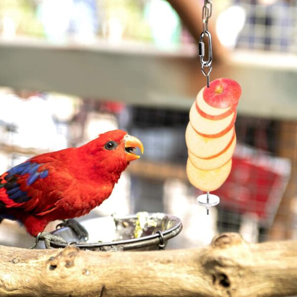 Bird Feeder Bird No-Mess For Parrots Cockatiel Stainless Steel Feeding Food Seed Dispenser Container - Image 5