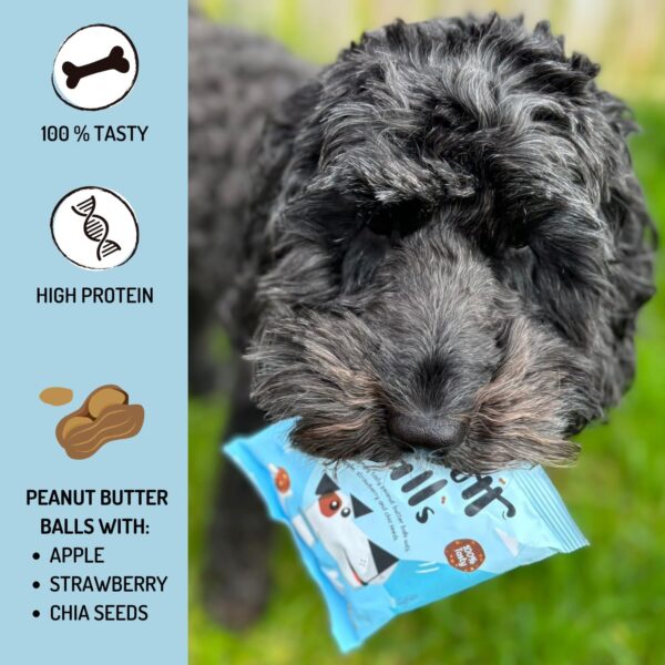 Peamutt Butter Balls, 10 x 45g, Peanut Butter Dog Treat, Formulated for Dogs, No Palm Oil, Feed as a Treat or Reward, Suitable for Dogs over 4 Months - Image 7