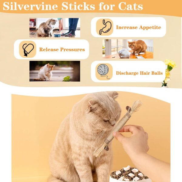 GIAPINST Catnip Sticks For Cats, Natural Matatabi Silvervine Chew Sticks, Catnip Toys for Indoor Cats, Kitten Teething Toys Dental Care, Increase Appetite, Calm Cat Anxiety(21Pcs) - Image 3