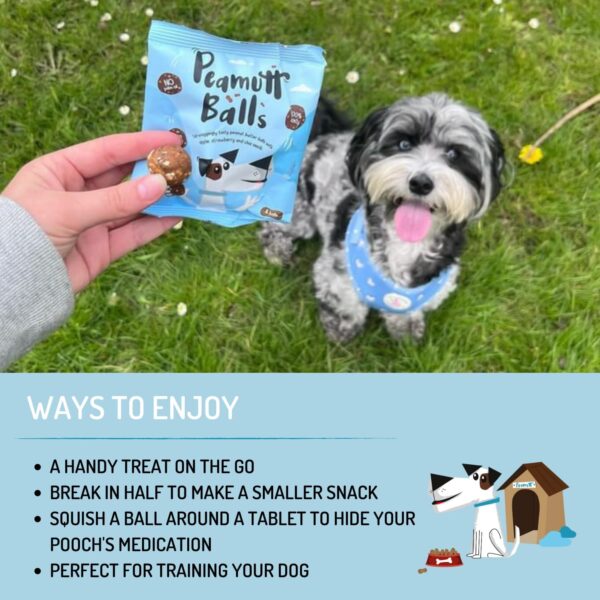 Peamutt Butter Balls, 10 x 45g, Peanut Butter Dog Treat, Formulated for Dogs, No Palm Oil, Feed as a Treat or Reward, Suitable for Dogs over 4 Months - Image 6